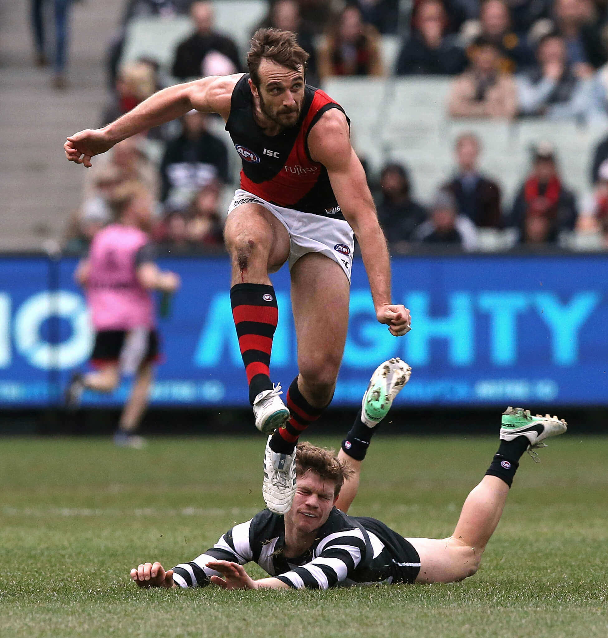 Collingwood v Essendon in pictures Sportshounds