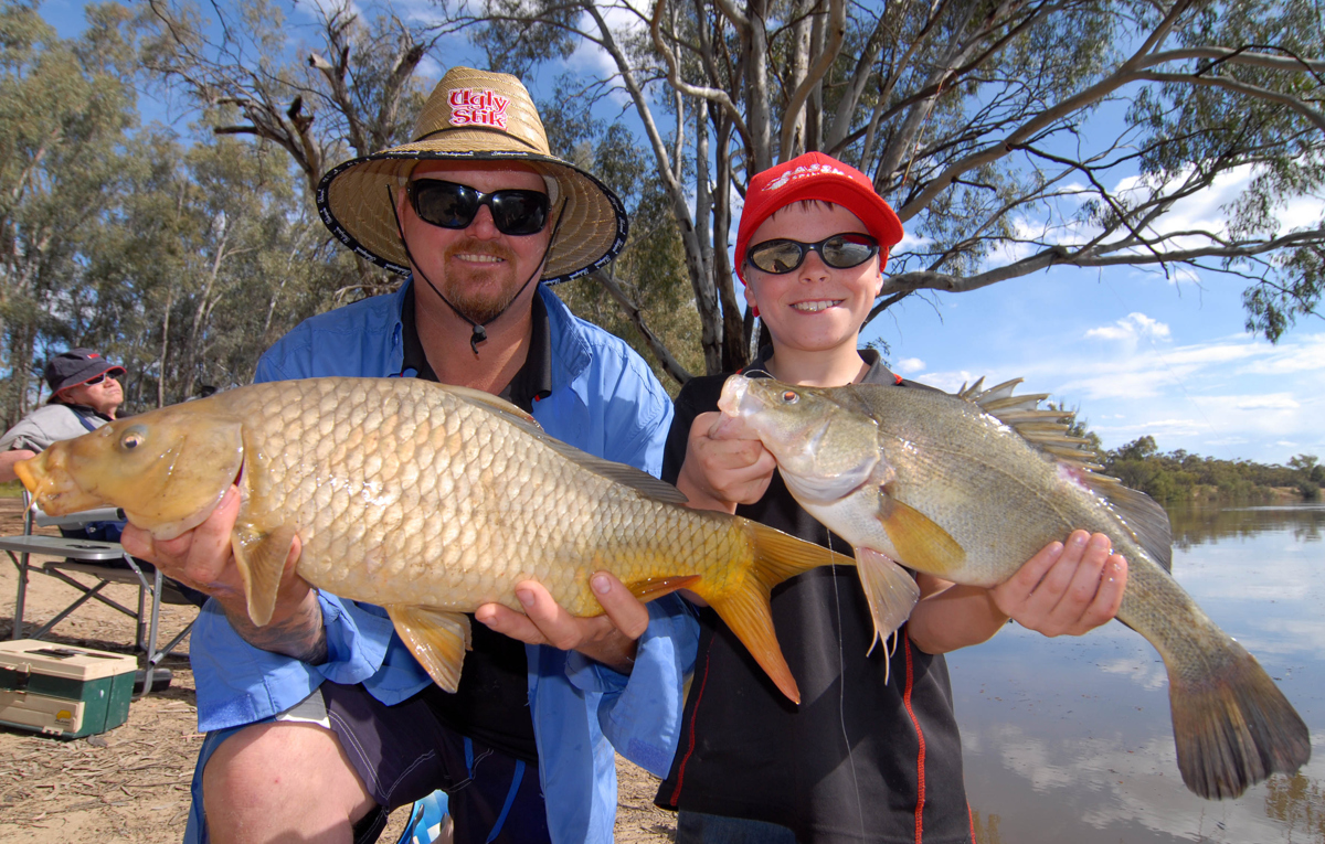 Our rivers are full of carp (left) and yellowbelly or golden perch (right). What would the average Chinese angler give to be able to enjoy fishing like this on his doorstep.
