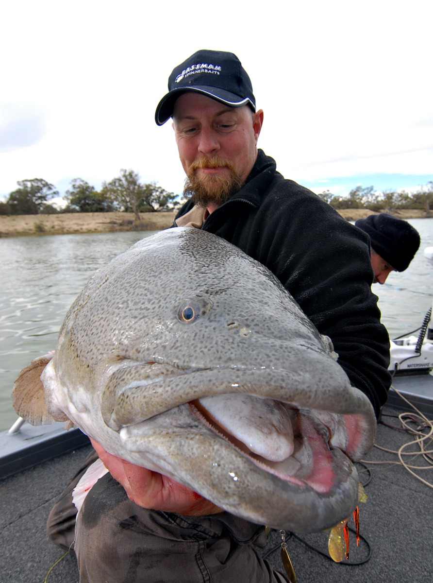 My cod, what a diner! - Sportshounds