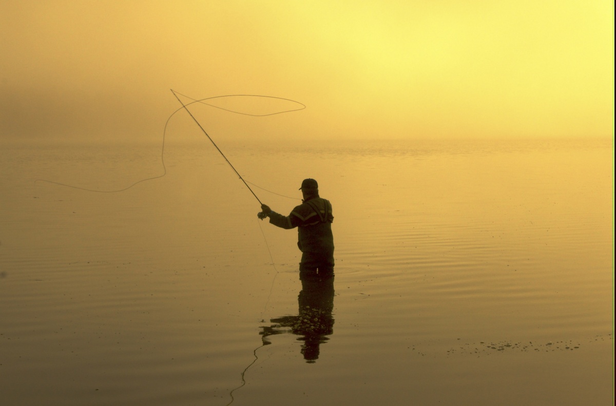 Fly fishing at dawn, in fog, is a surreal experience.