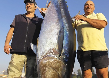 A 125kg tuna on the weighing gantry at Portland.