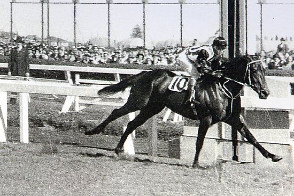 Tulloch at the Caulfield cup