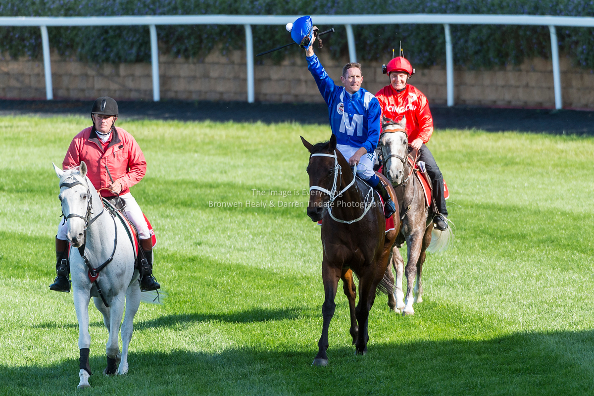 Winx ridden by Hugh Bowman wins the 2017 Ladbrokes W.S. Cox Plate Pic: Darren Tindale / The Image is Everything.