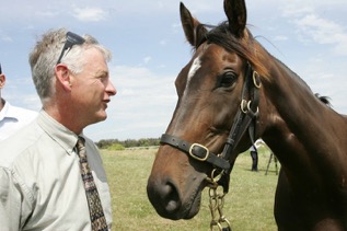 Who needs horses on Cup Day?