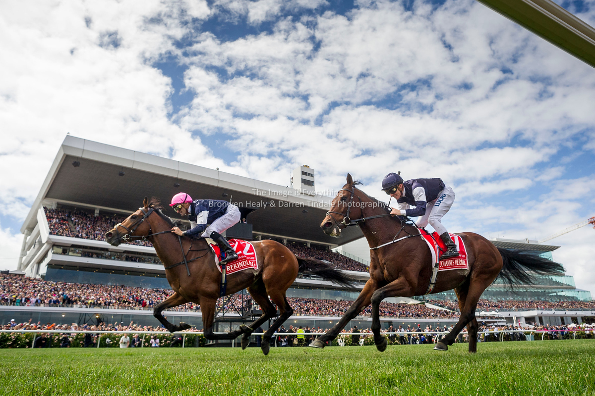 Melbourne cup betting qld reds nioh ethereal farming early