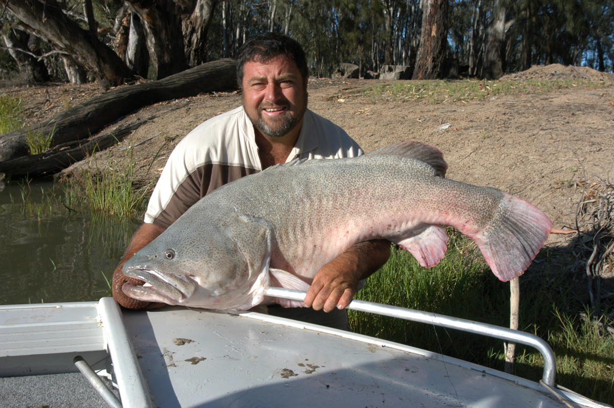 Anglers go green for cod