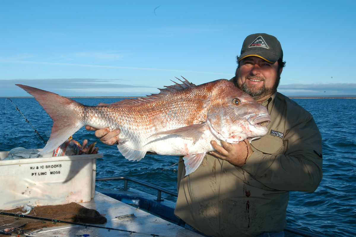 Gus Storer with a 13kg snapper caught off Whyalla using yellowtail kingfish throats as bait. Among other food found inside snapper was a wallaby skull.