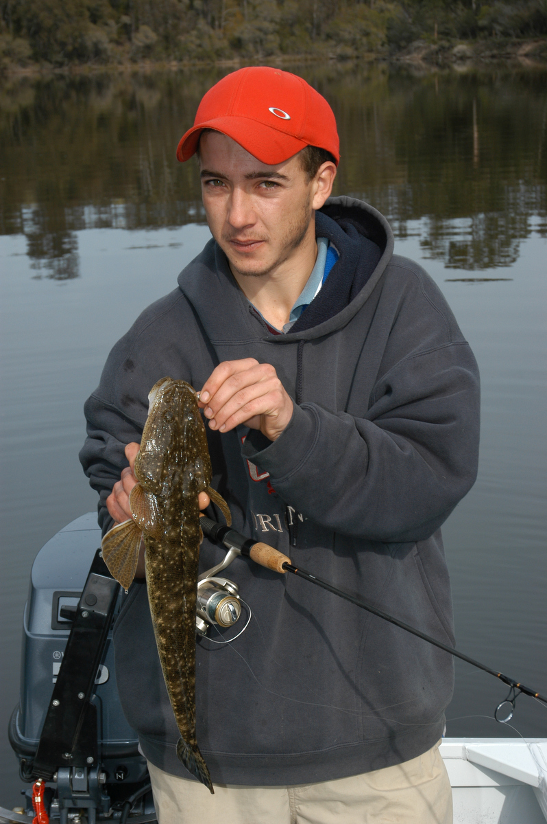 Flathead are plentiful in bays and estuaries.