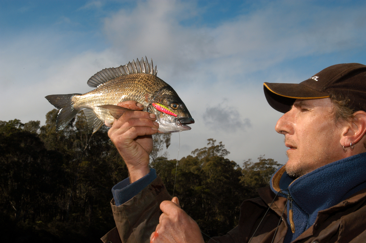 Bream is an estuary favourite and can be caught in most Victorian estuaries including the Yarra and Maribyrnong Rivers within cooee of Melbourne CBD.