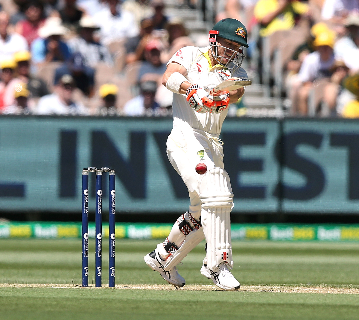 David Warner pulls Chris Woakes to bring up his fifty runs at the MCG