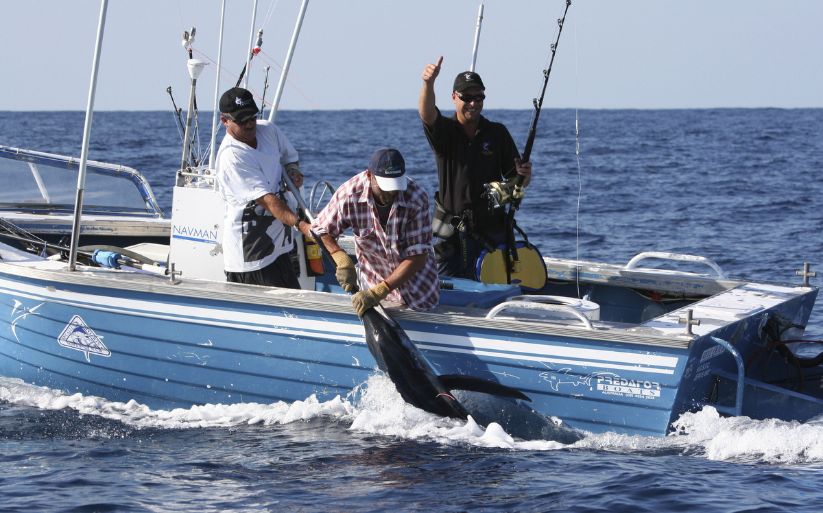 Marlin off the south coast of NSW Australia, gota love this land based  catch! : r/Fishing