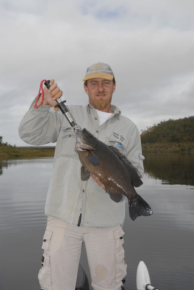 Mick Rethus with a sooty grunter caught in Teemburra Dam.