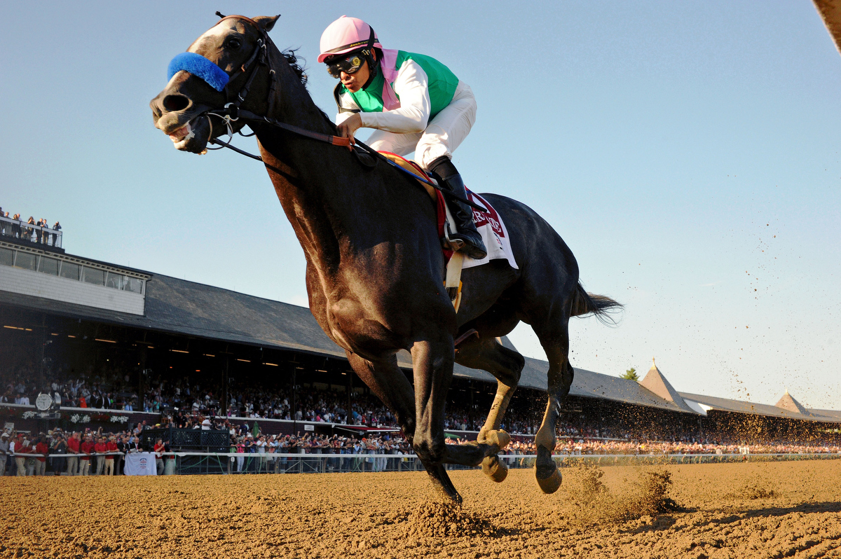 Worlds best? Arrogate. Pic: Bob Mayberger/Eclipse Sportswire/Getty Images