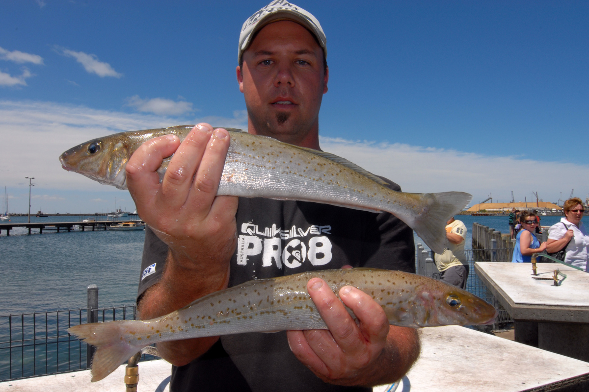 Alan Rowles with a nice pair of big whiting caught at Portland.