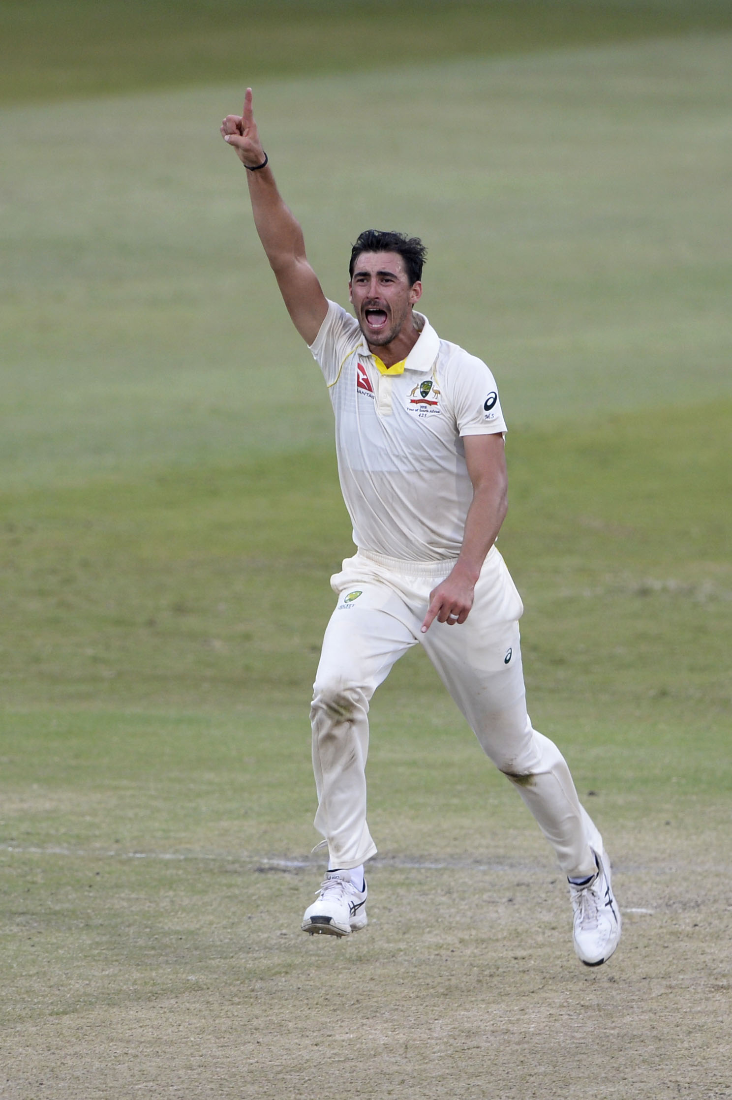 “Starc the impossible” shatters the South Africans