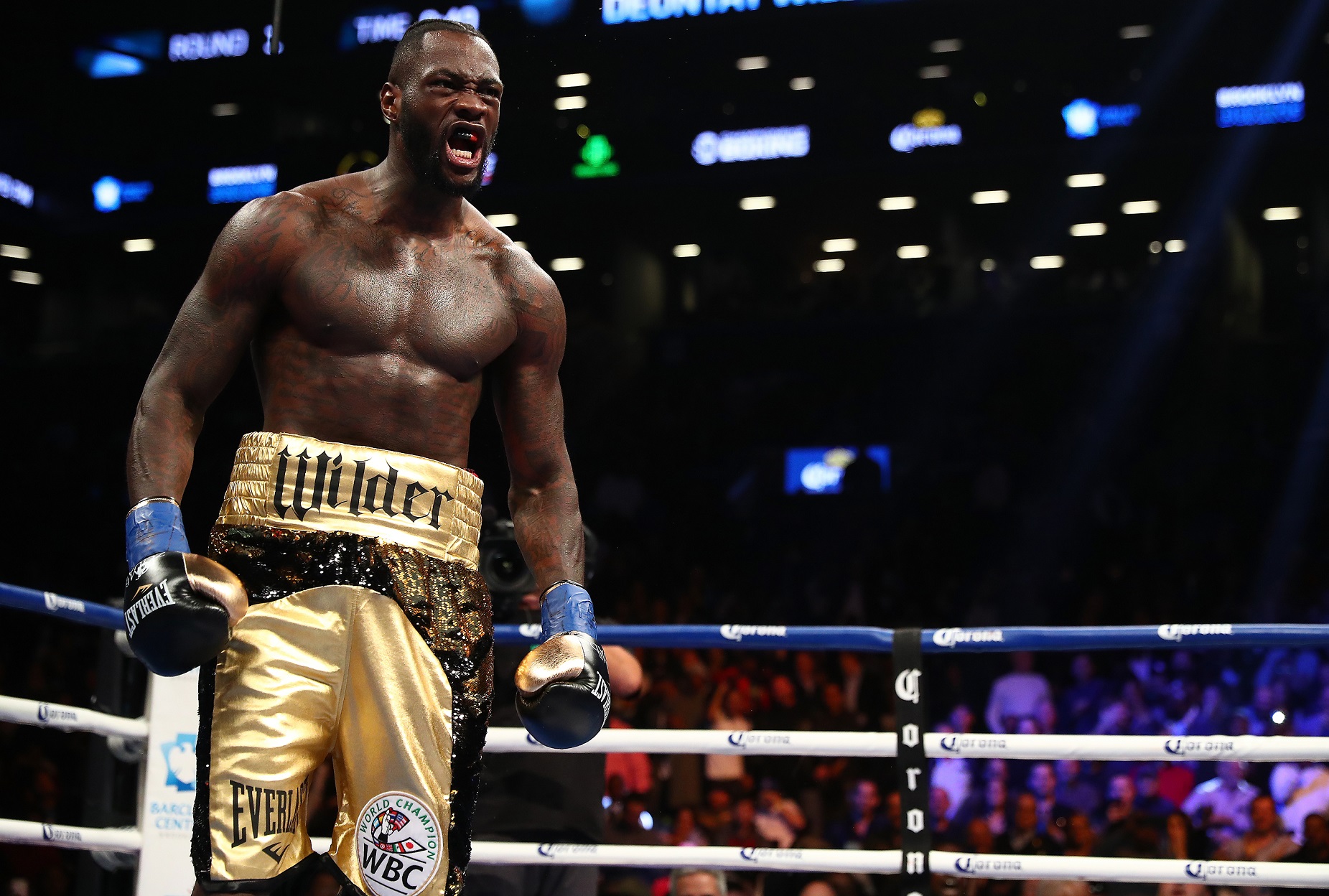 Deontay Wilder celebrates after knocking down Bermane Stiverne. Pic: Al Bello/Getty Images